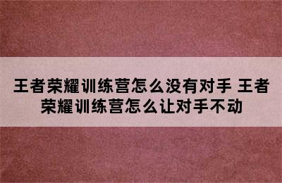 王者荣耀训练营怎么没有对手 王者荣耀训练营怎么让对手不动